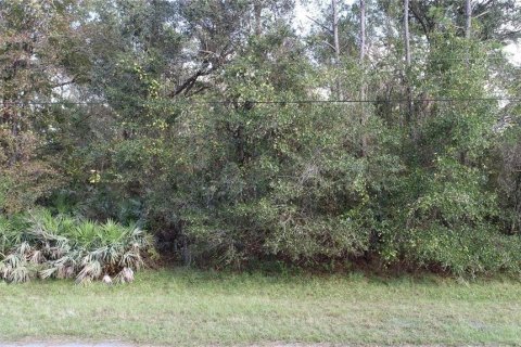 Terreno en venta en Orlando, Florida № 1289517 - foto 7