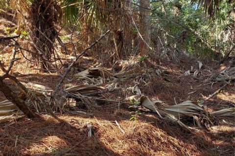 Terrain à vendre à North Port, Floride № 702251 - photo 4