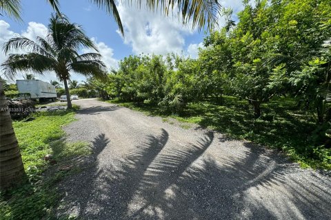 Land in Homestead, Florida № 1295055 - photo 13