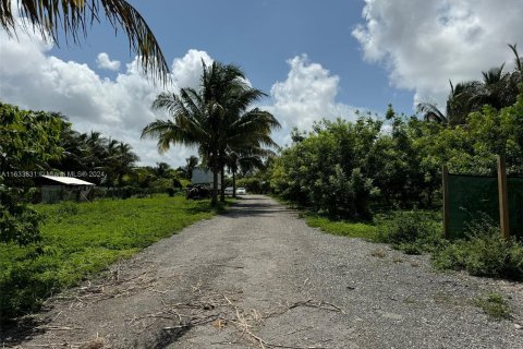 Land in Homestead, Florida № 1295055 - photo 11