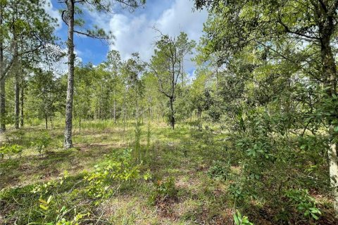 Terreno en venta en Morriston, Florida № 1295365 - foto 4