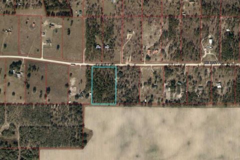 Land in Morriston, Florida № 1295365 - photo 1