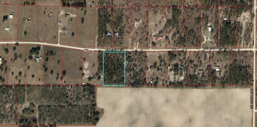 Land in Morriston, Florida № 1295365