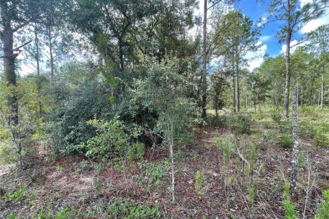 Terreno en venta en Morriston, Florida № 1295365 - foto 6