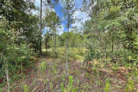 Land in Morriston, Florida № 1295365 - photo 2