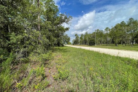 Land in Morriston, Florida № 1295365 - photo 7