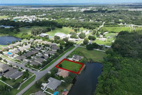 Terreno en venta en Ruskin, Florida № 1341057 - foto 4