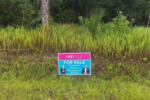 Купить земельный участок в Нейплс, Флорида № 641141 - фото 1