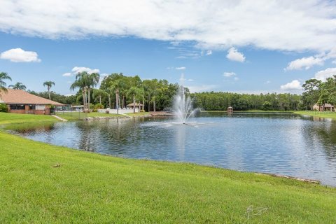 Condo in New Port Richey, Florida, 2 bedrooms  № 1440945 - photo 23