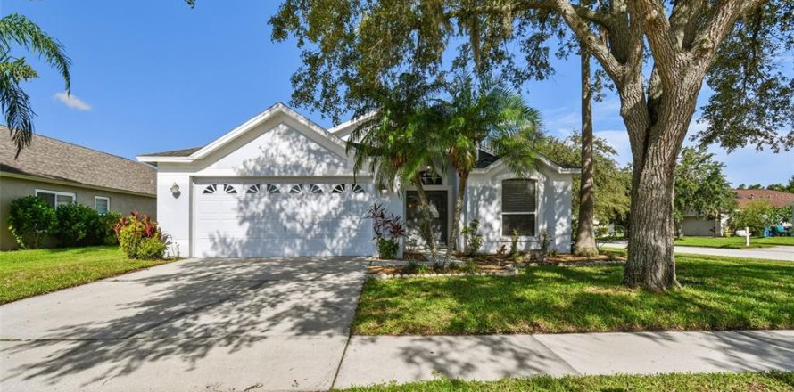 Villa ou maison à Wesley Chapel, Floride 3 chambres, 172.24 m2 № 1289771