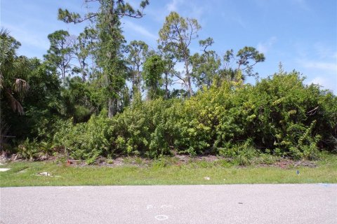 Land in Punta Gorda, Florida № 1110834 - photo 1