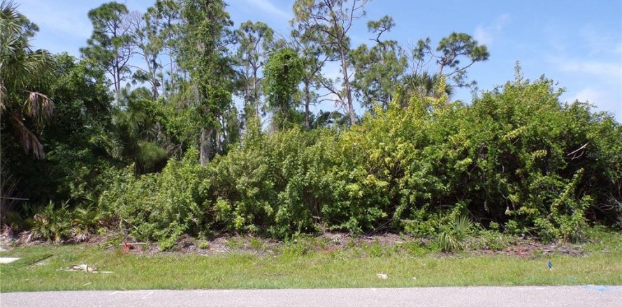 Land in Punta Gorda, Florida № 1110834