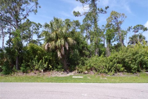 Land in Punta Gorda, Florida № 1110834 - photo 2