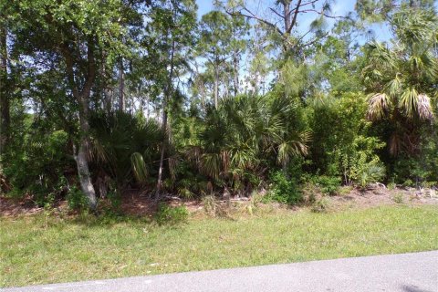 Land in Punta Gorda, Florida № 1110834 - photo 10