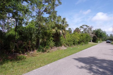 Terreno en venta en Punta Gorda, Florida № 1110834 - foto 13