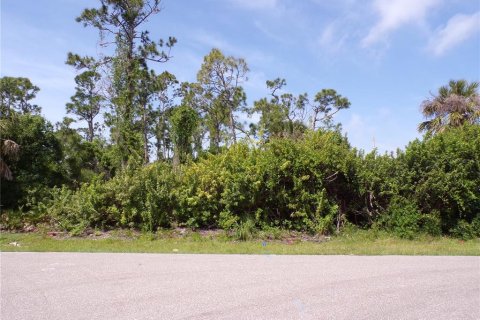 Land in Punta Gorda, Florida № 1110834 - photo 4