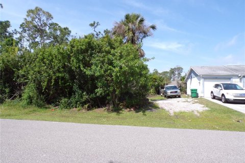 Terreno en venta en Punta Gorda, Florida № 1110834 - foto 6