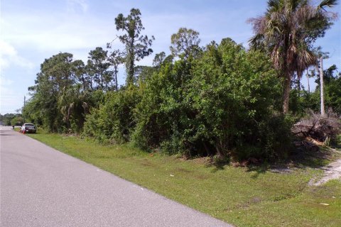 Terreno en venta en Punta Gorda, Florida № 1110834 - foto 7