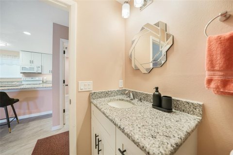 Condo in Punta Gorda, Florida, 2 bedrooms  № 1352500 - photo 28