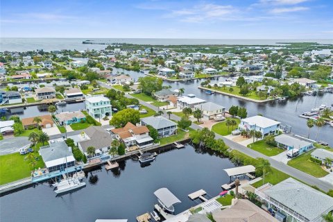 Villa ou maison à vendre à Hernando Beach, Floride: 4 chambres, 276.94 m2 № 1352464 - photo 6