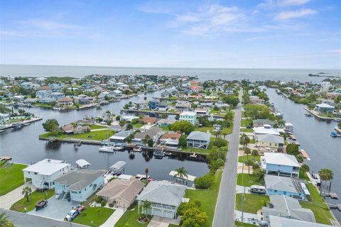 Villa ou maison à vendre à Hernando Beach, Floride: 4 chambres, 276.94 m2 № 1352464 - photo 5