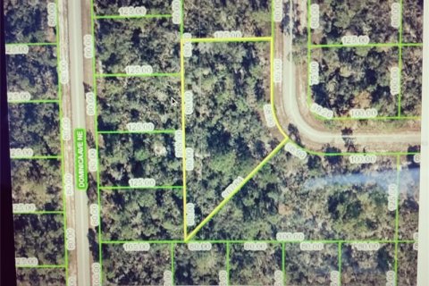 Terrain à vendre à Lake Placid, Floride № 261831 - photo 2