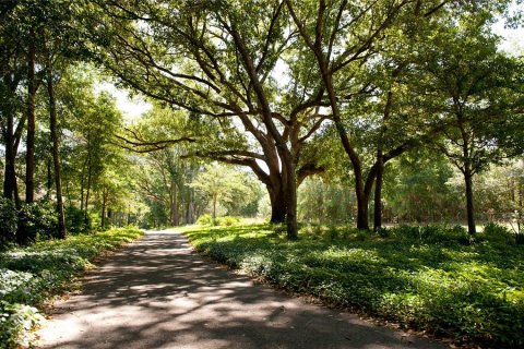 Villa ou maison à vendre à Newberry, Floride: 4 chambres, 322.46 m2 № 1342770 - photo 4