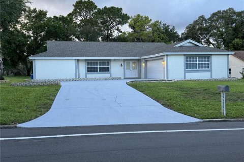 Villa ou maison à vendre à Hudson, Floride: 4 chambres, 195.56 m2 № 1300803 - photo 1