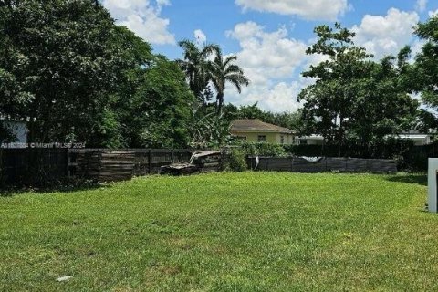 Land in Homestead, Florida № 1309826 - photo 2