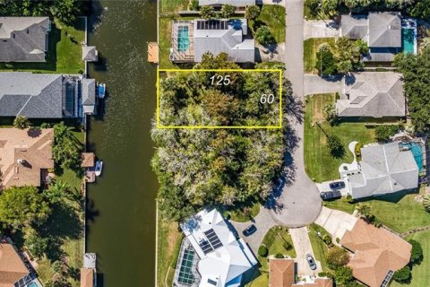 Terreno en venta en Palm Coast, Florida № 302225 - foto 19