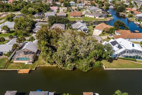 Land in Palm Coast, Florida № 302225 - photo 11