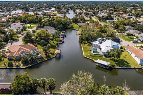 Land in Palm Coast, Florida № 302225 - photo 14