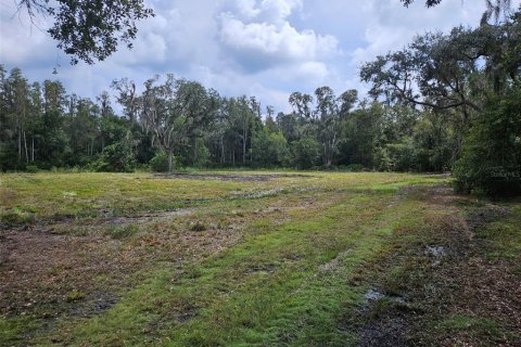 Terreno en venta en Plant City, Florida № 1375296 - foto 1