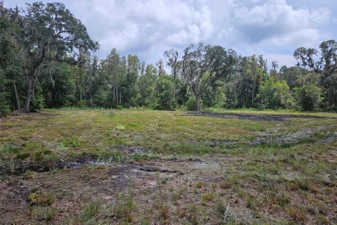 Terreno en venta en Plant City, Florida № 1375296 - foto 8