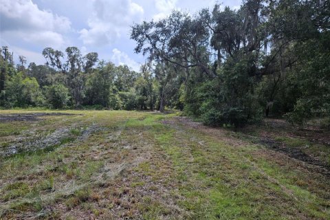 Terreno en venta en Plant City, Florida № 1375296 - foto 7