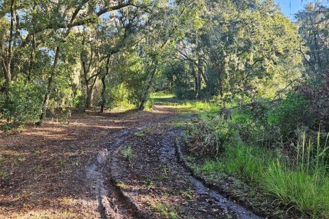 Land in Plant City, Florida № 1375296 - photo 6