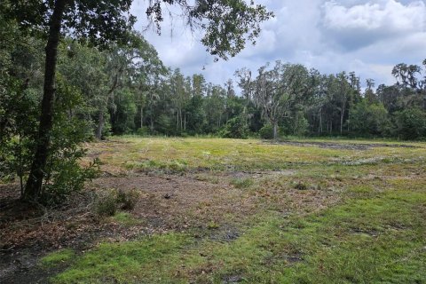 Terreno en venta en Plant City, Florida № 1375296 - foto 2