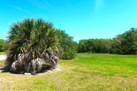 Terrain à vendre à Vero Beach, Floride № 1222479 - photo 8