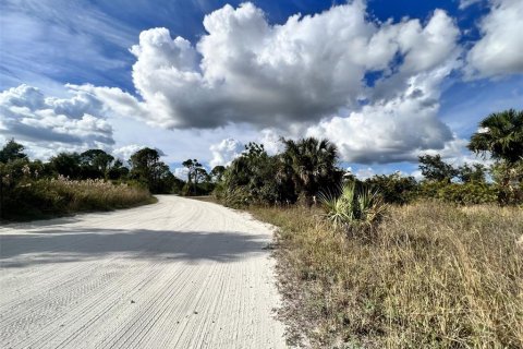 Land in Punta Gorda, Florida № 813356 - photo 4