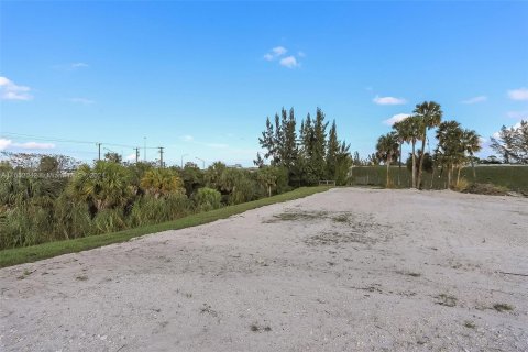 Land in West Palm Beach, Florida № 1345480 - photo 2