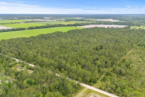 Land in Bunnell, Florida № 1295546 - photo 16