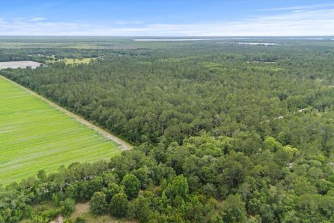 Land in Bunnell, Florida № 1295546 - photo 10