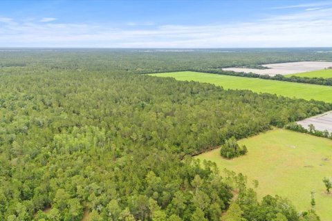 Land in Bunnell, Florida № 1295546 - photo 15