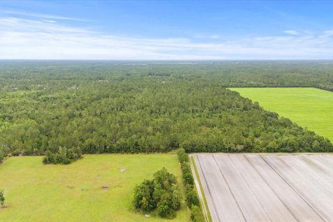 Terrain à vendre à Bunnell, Floride № 1295546 - photo 12