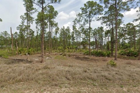 Land in Lehigh Acres, Florida № 1345551 - photo 1