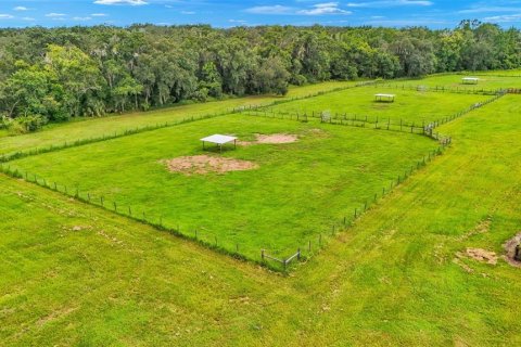 Terreno en venta en Fish Hawk, Florida № 1308573 - foto 22