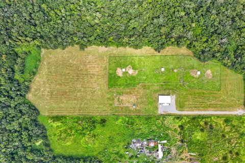 Land in Fish Hawk, Florida № 1308573 - photo 16