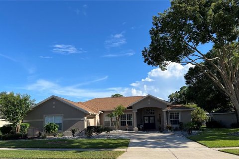 Villa ou maison à vendre à Mount Dora, Floride: 3 chambres, 185.34 m2 № 1340951 - photo 1