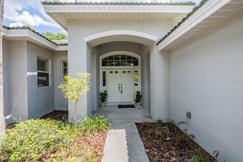 Villa ou maison à vendre à Tampa, Floride: 4 chambres, 233.93 m2 № 1247171 - photo 3