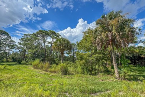 Terreno en venta en Haines City, Florida № 1402307 - foto 18